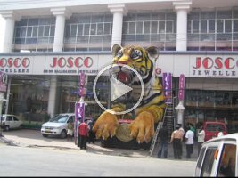 Tigerad